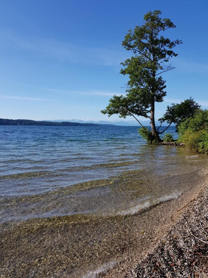 Villa Carpe Diem Vantacici Zewnętrze zdjęcie